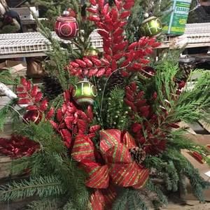 Meet your Posher, Tami